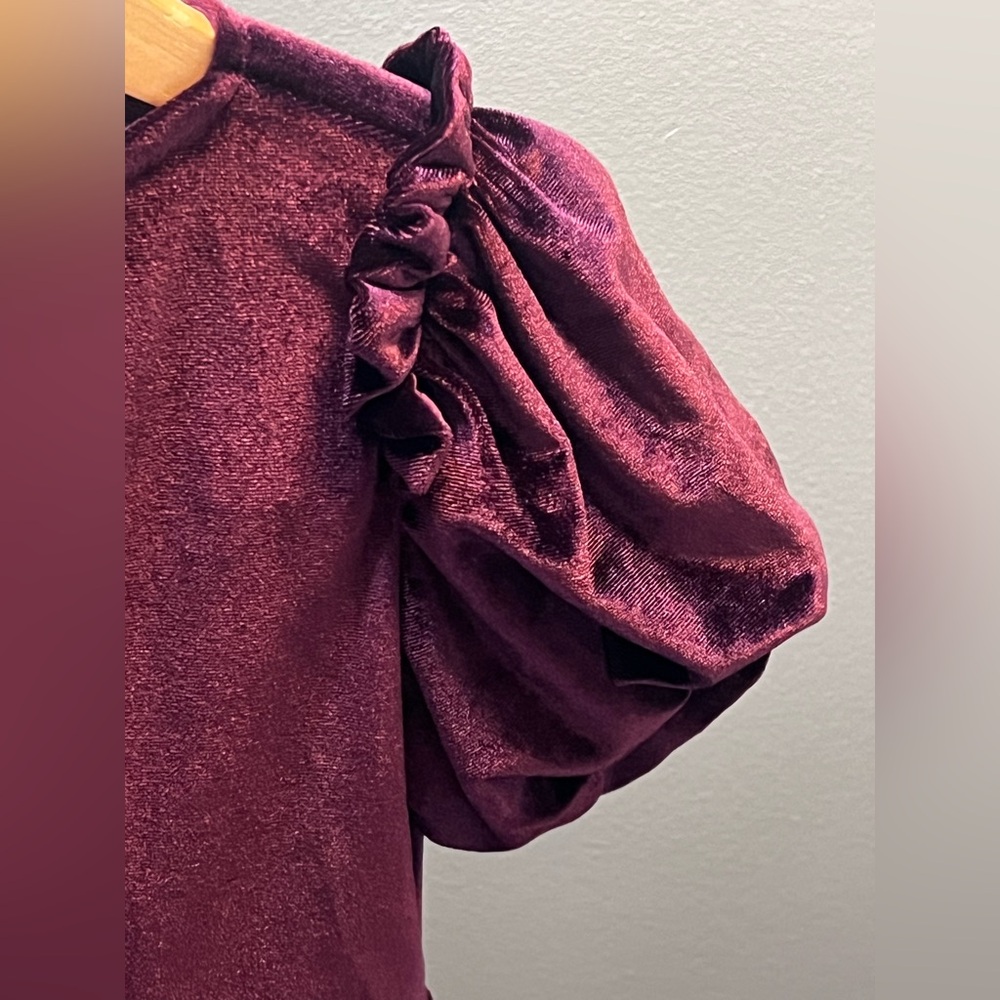 Zara Girls Velvet Ruffle Puff Sleeve Elegant Dress - Burgundy - Picture 9 of 11